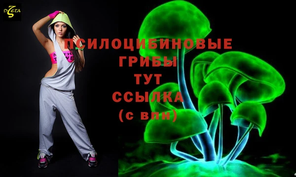 соль ск Богданович